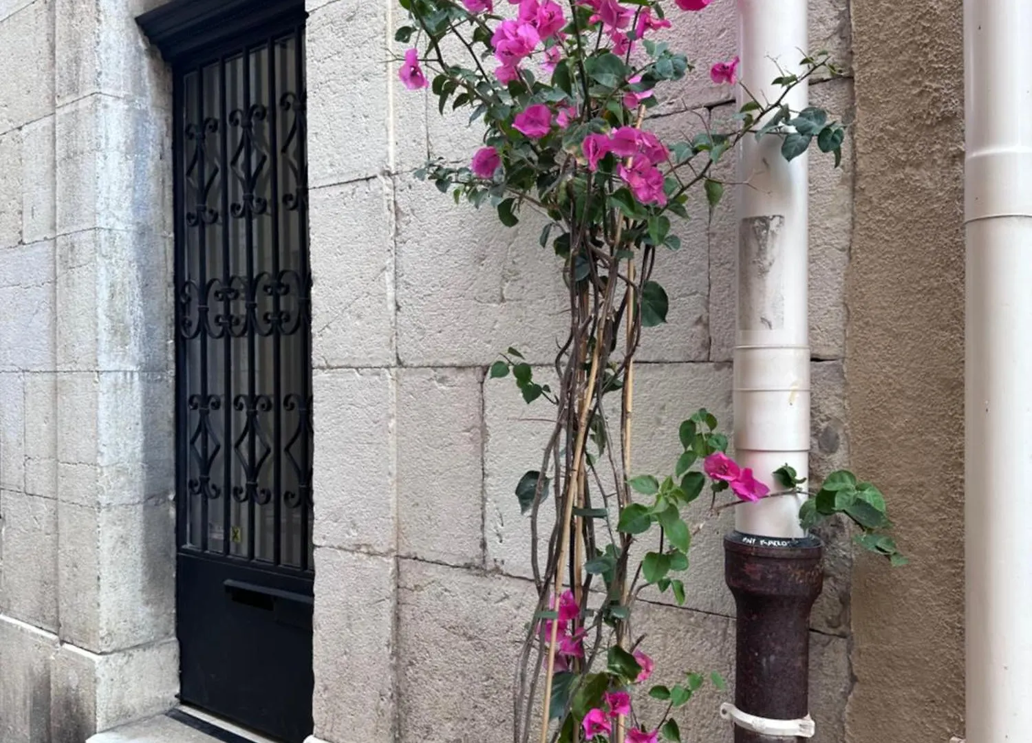 L Appartement De Manon, Centre Historique Du Vieil Antibes França